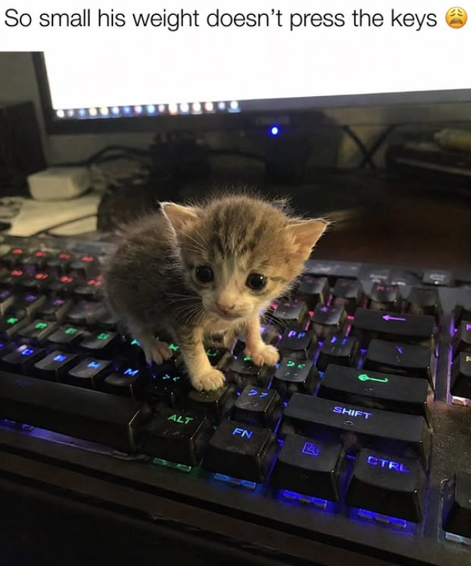 So small his weight doesn't press the keys ALT FN SHIFT CTRL