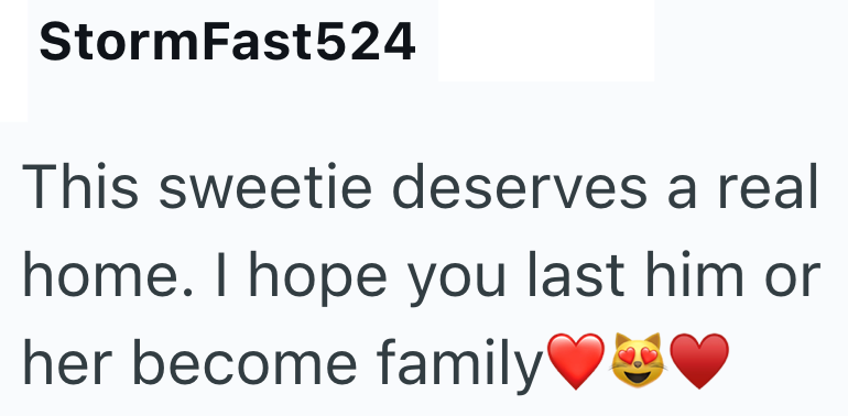 StormFast524 This sweetie deserves a real home. I hope you last him or her become family ♥♥