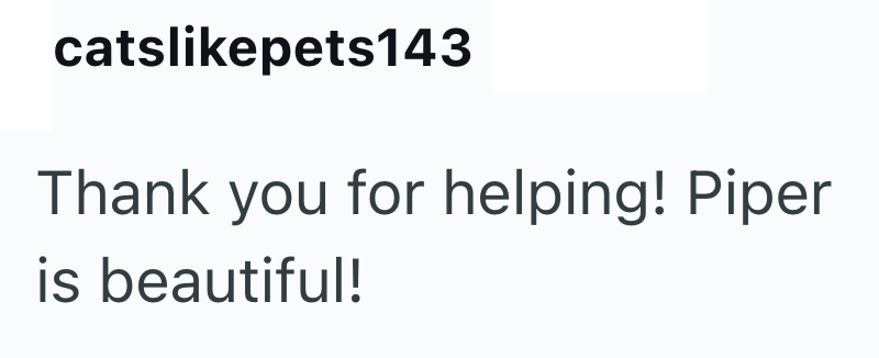 catslikepets143 Thank you for helping! Piper is beautiful!