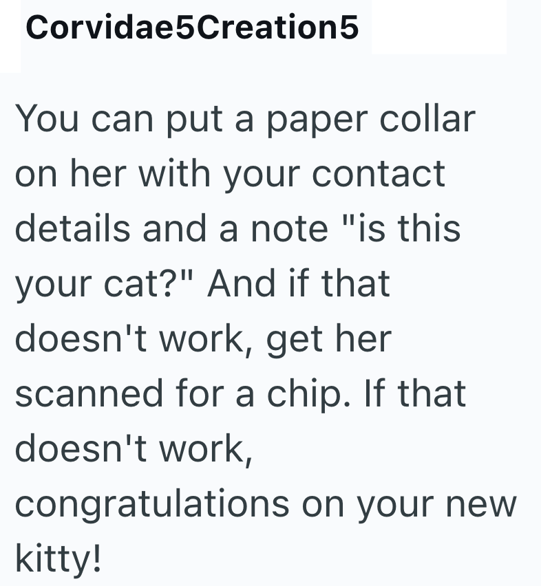 Corvidae5Creation5 You can put a paper collar on her with your contact details and a note "is this your cat?" And if that doesn't work, get her scanned for a chip. If that doesn't work, congratulations on your new kitty!