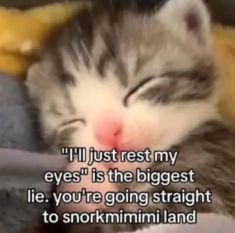 "I'll just rest my eyes" is the biggest lie. you're going straight to snorkmimimi land