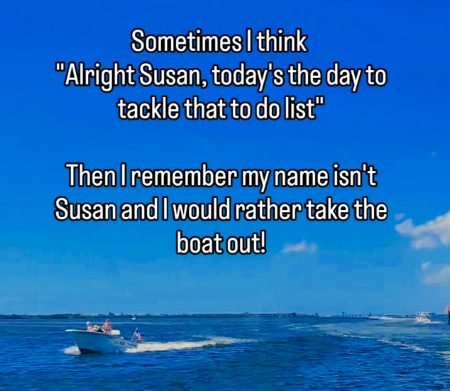 Sometimes I think "Alright Susan, today's the day to tackle that to do list" Then I remember my name isn't Susan and I would rather take the boat out!