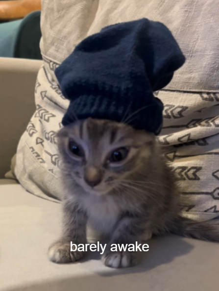 barely awake a D ΣΣ bo ΣΣ