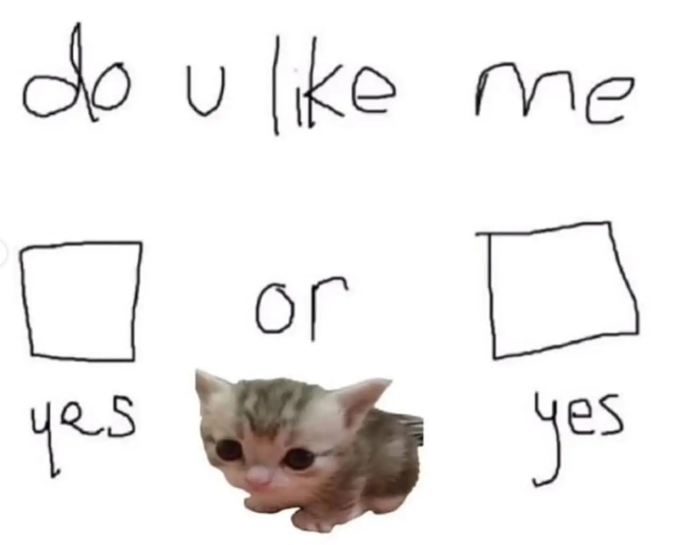 do u like me yes or yes
