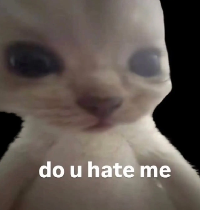 do u hate me