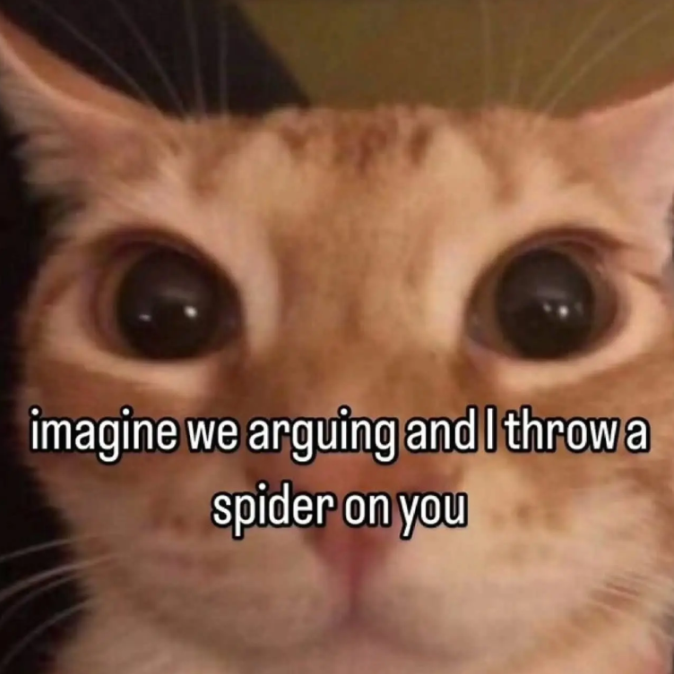 imagine we arguing and I throw a spider on you