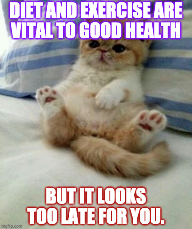 DIET AND EXERCISE ARE VITAL TO GOOD HEALTH imgflip.com BUT IT LOOKS TOO LATE FOR YOU.