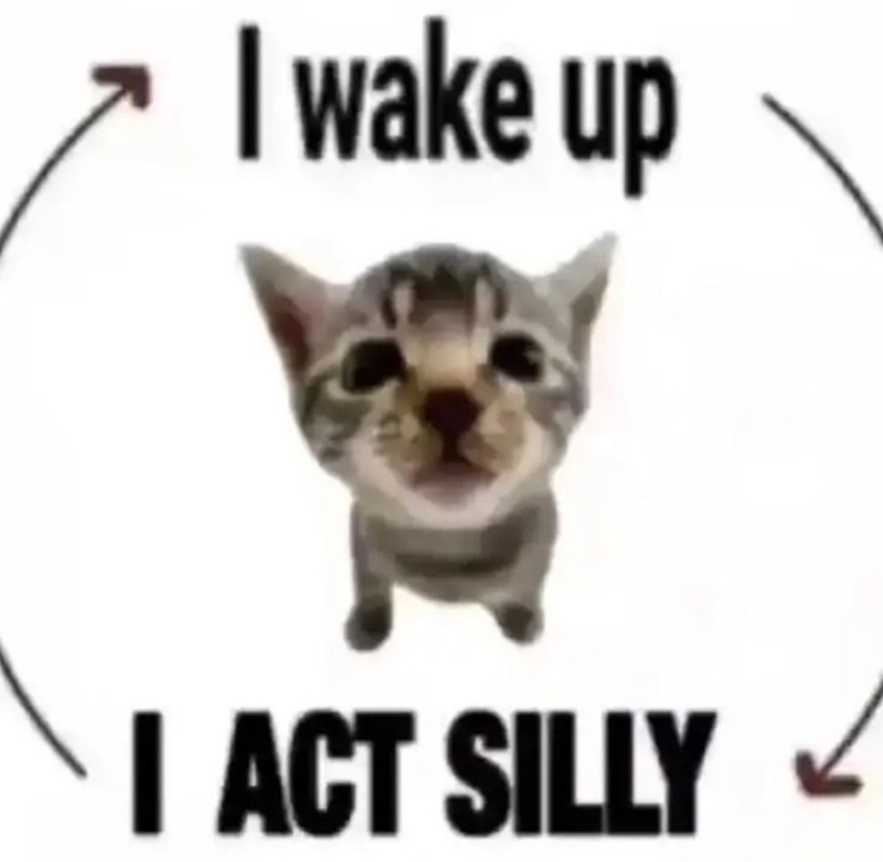 I wake up I ACT SILLY