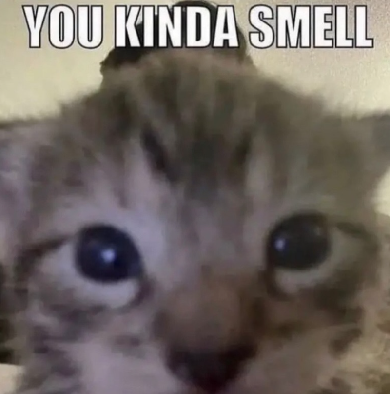 YOU KINDA SMELL