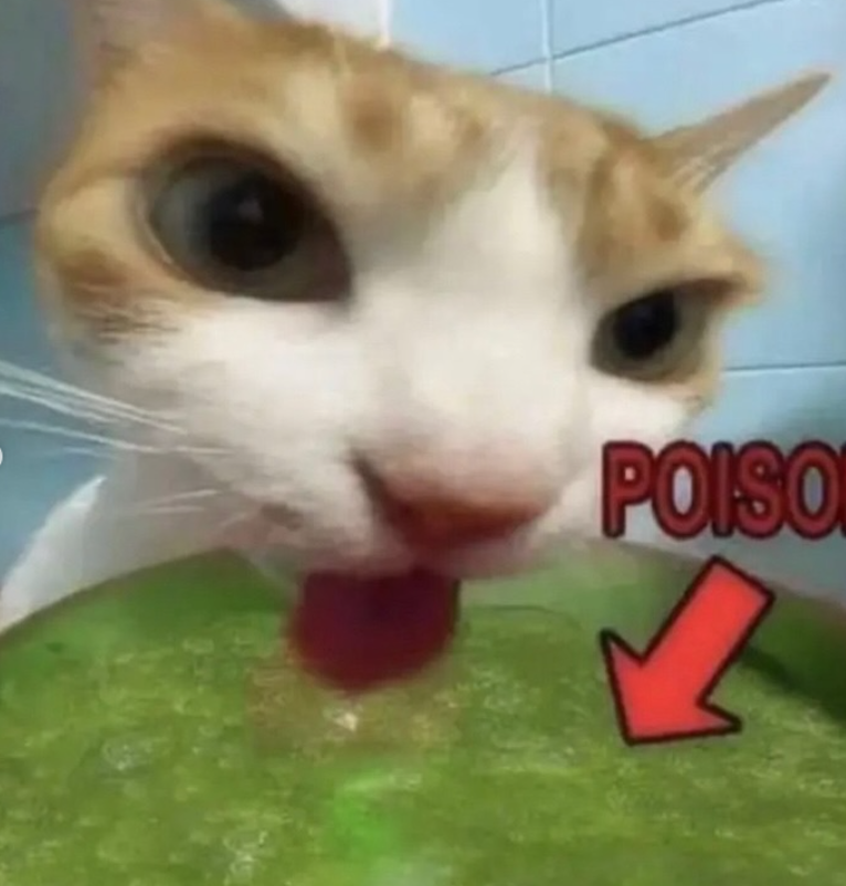 POISO