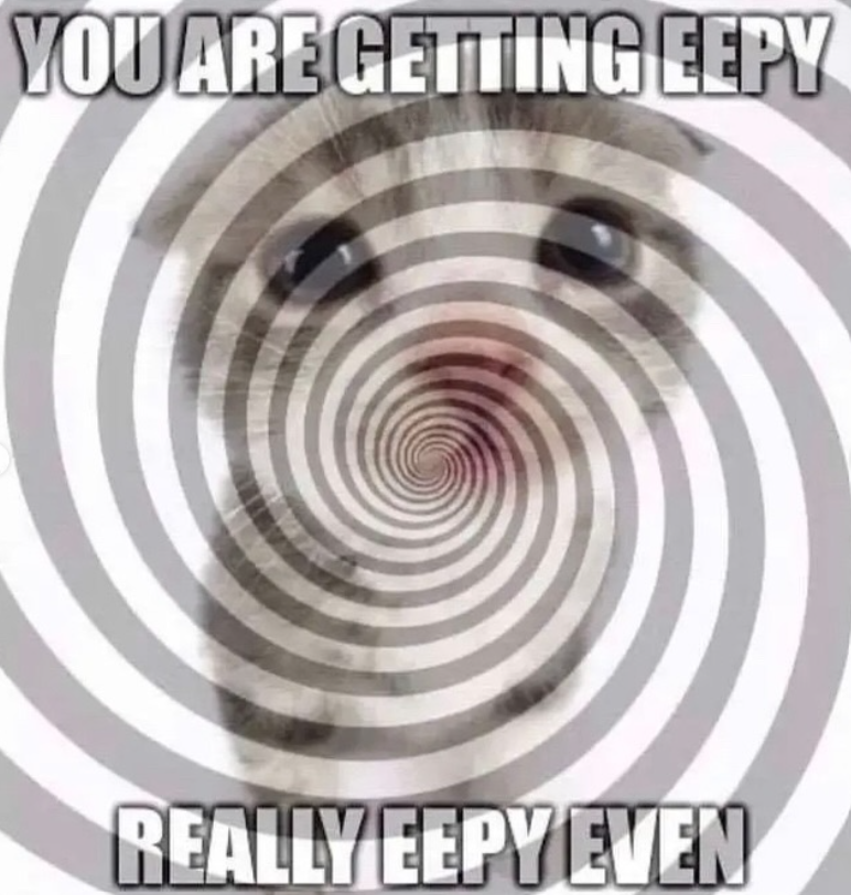 YOU ARE GETTING EEPY REALLY EEPY EVEN