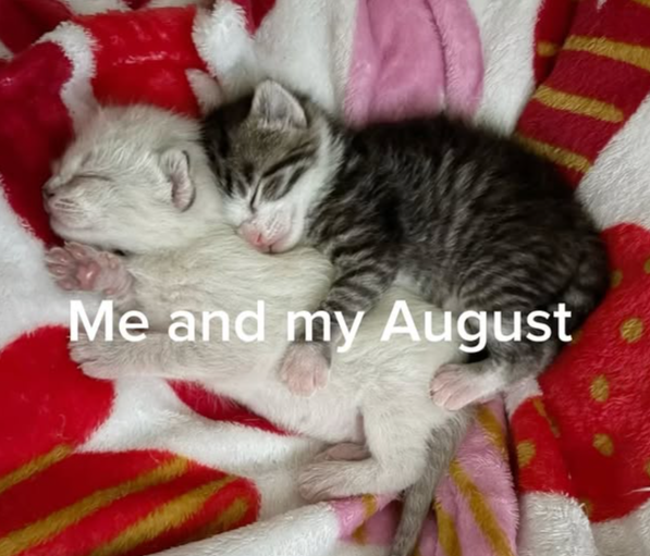 Me and my August