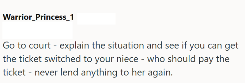 Warrior_Princess_1 Go to court-explain the situation and see if you can get the ticket switched to your niece - who should pay the ticket - never lend anything to her again.