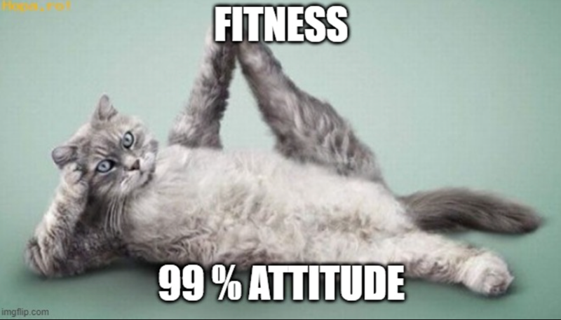 imgflip.com FITNESS 99% ATTITUDE
