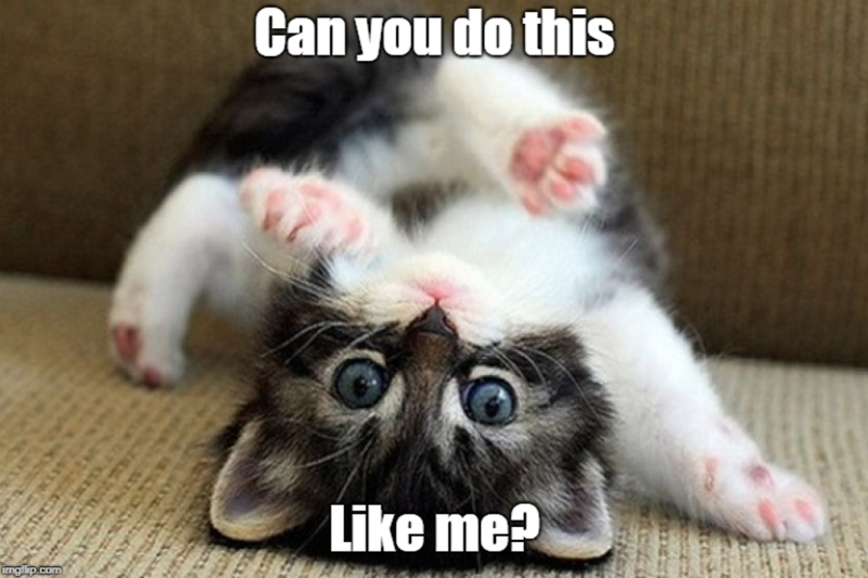 Can you do this imgflip.com Like me?