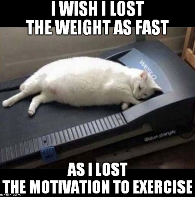 I WISH I LOST THE WEIGHT AS FAST WESLO @tatum.strangely AS I LOST THE MOTIVATION TO EXERCISE mgflip.com