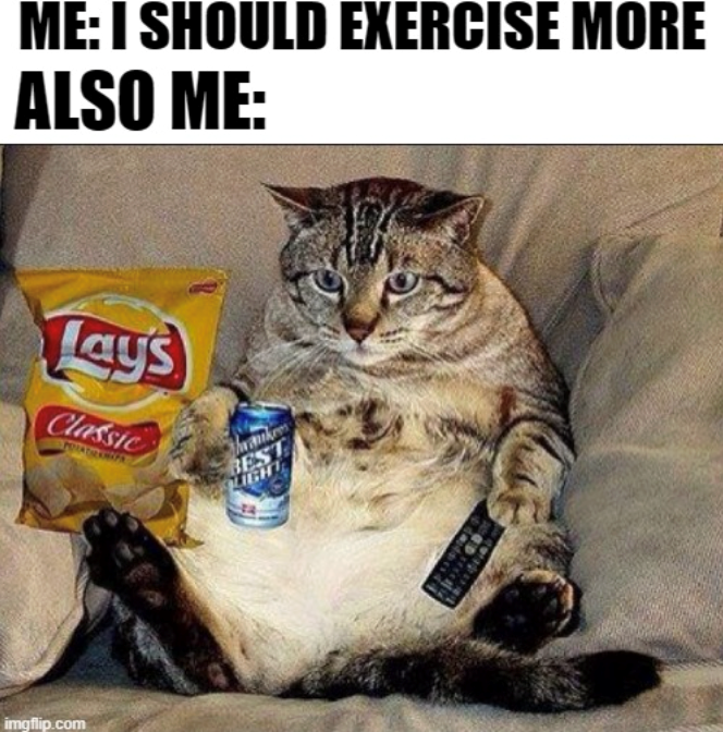 ME: I SHOULD EXERCISE MORE ALSO ME: Lays Classic imgflip.com BEST