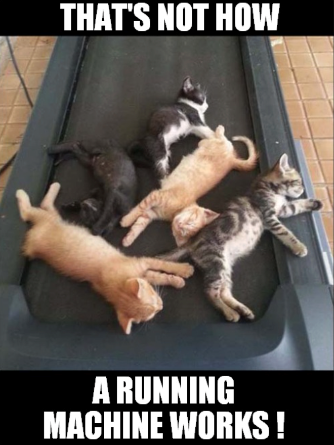 THAT'S NOT HOW A RUNNING MACHINE WORKS!