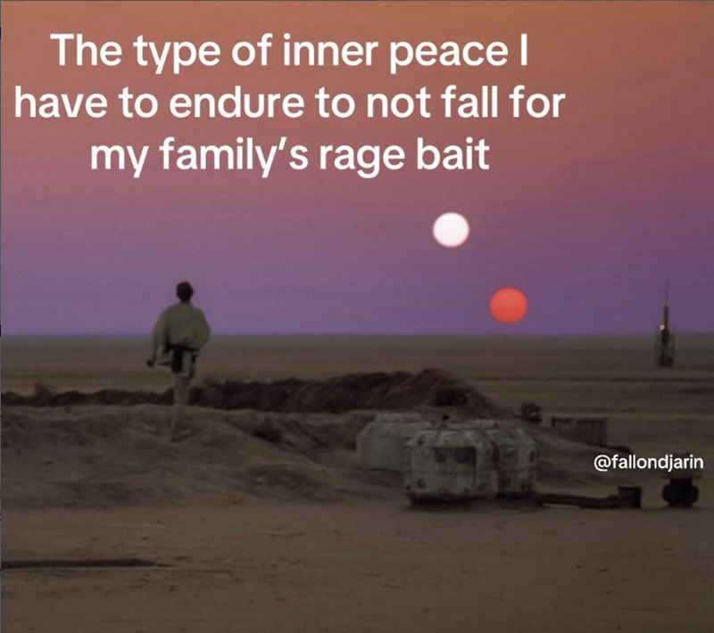The type of inner peace I have to endure to not fall for my family's rage bait @fallondjarin
