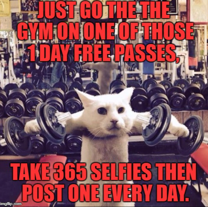 JUST GO THE THE GYM ON ONE OF THOSE 11-DAY FREE PASSES TAKE 365 SELFIES THEN POST ONE EVERY DAY. imgflip.com A