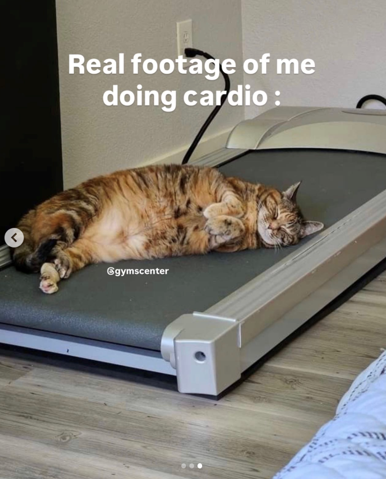 Γ Real footage of me doing cardio: @gymscenter