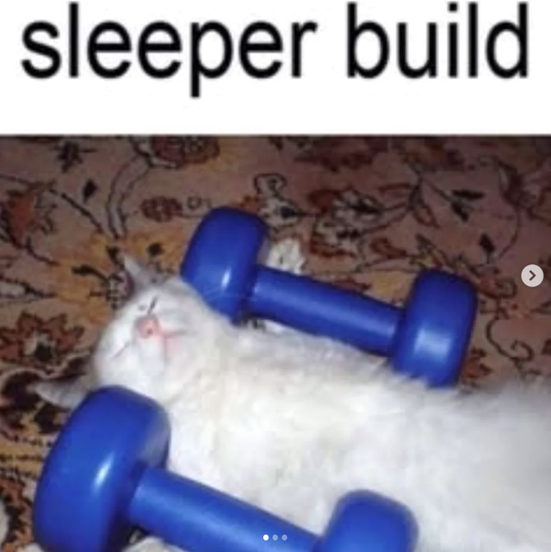 sleeper build