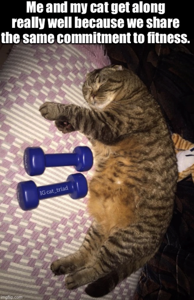 imgflip.com Me and my cat get along really well because we share the same commitment to fitness. I IG cat_triad