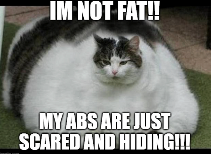 IM NOT FAT!! MY ABS ARE JUST SCARED AND HIDING!!!