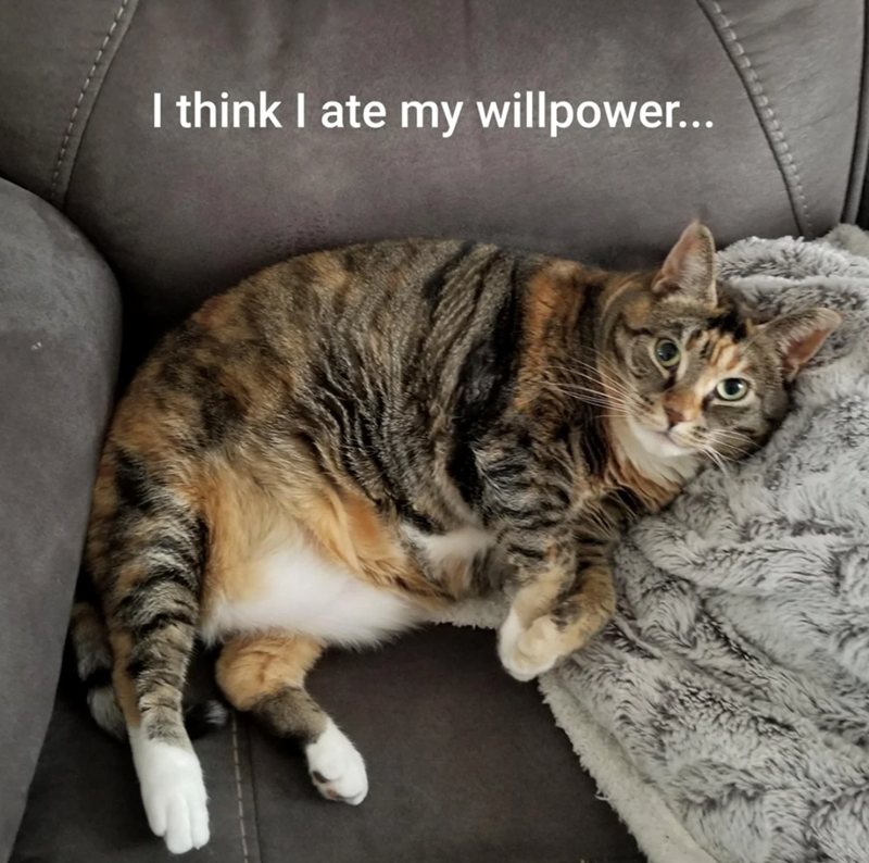 I think I ate my willpower...