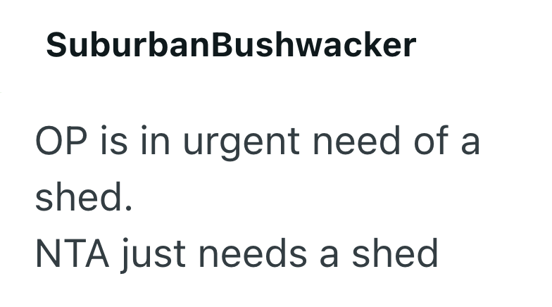 SuburbanBushwacker OP is in urgent need of a shed. NTA just needs a shed