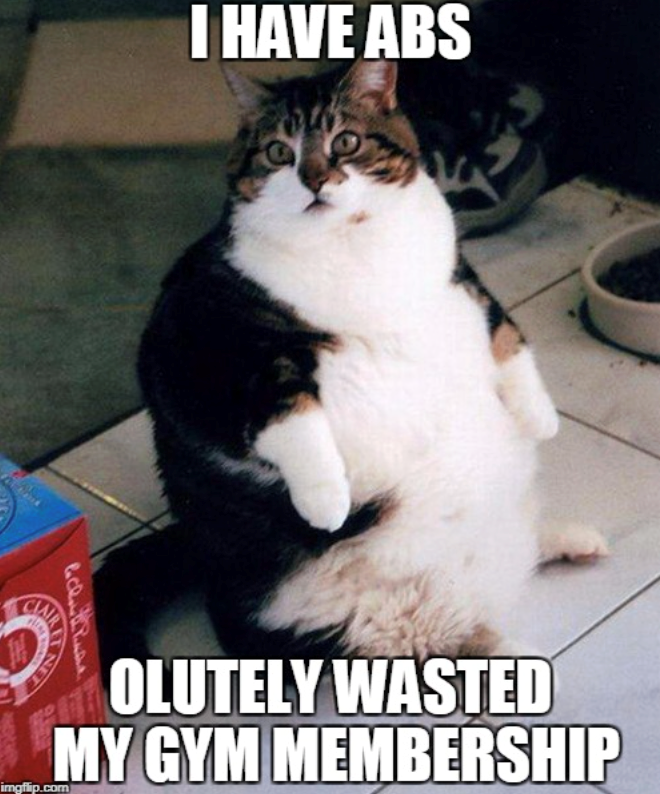 I HAVE ABS AIR NET OLUTELY WASTED MY GYM MEMBERSHIP imgflip.com