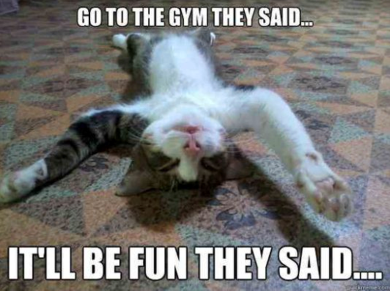 GO TO THE GYM THEY SAID... IT'LL BE FUN THEY SAID.... welckmeme.com