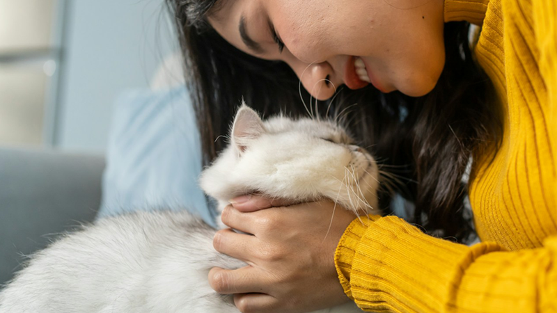 A woman touches her nose to the face of a white cat she is petting.