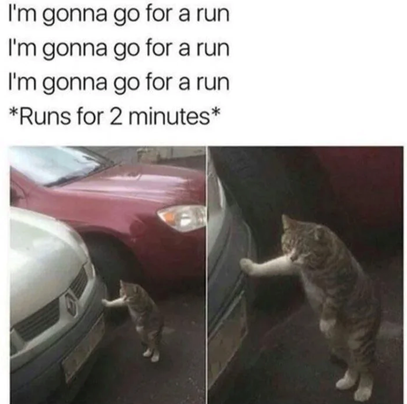 I'm gonna go for a run I'm gonna go for a run I'm gonna go for a run *Runs for 2 minutes*