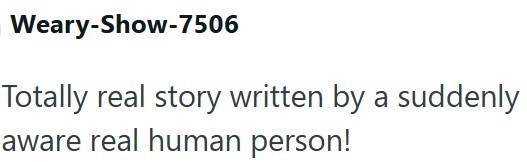 Weary-Show-7506 Totally real story written by a suddenly aware real human person!