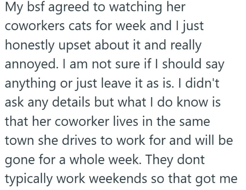 My bsf agreed to watching her coworkers cats for week and I just honestly upset about it and really annoyed. I am not sure if I should say anything or just leave it as is. I didn't ask any details but what I do know is that her coworker lives in the same town she drives to work for and will be gone for a whole week. They dont typically work weekends so that got me