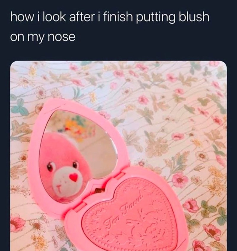 how i look after i finish putting blush on my nose Im Faced