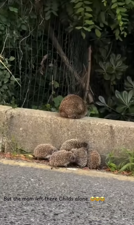 But the mom left there Childs alone