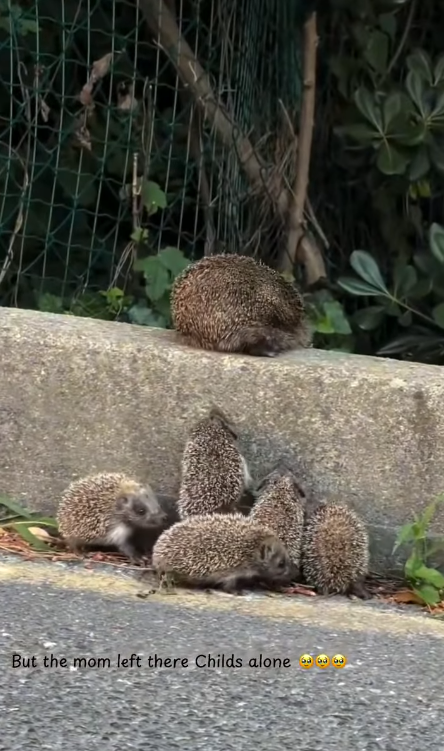 But the mom left there Childs alone