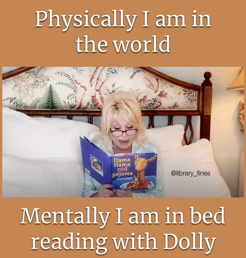 Physically I am in the world llama llama red pajama @library_fines 4557 Mentally I am in bed reading with Dolly