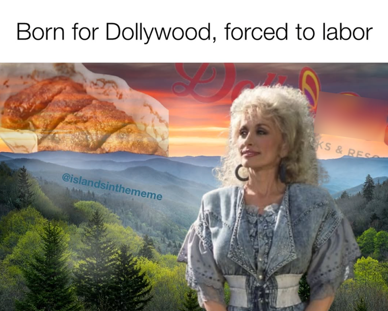 Born for Dollywood, forced to labor @islandsinthememe KS & RES