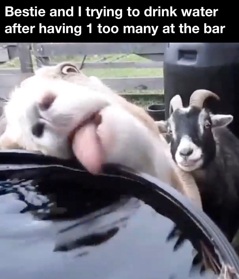 Bestie and I trying to drink water after having 1 too many at the bar