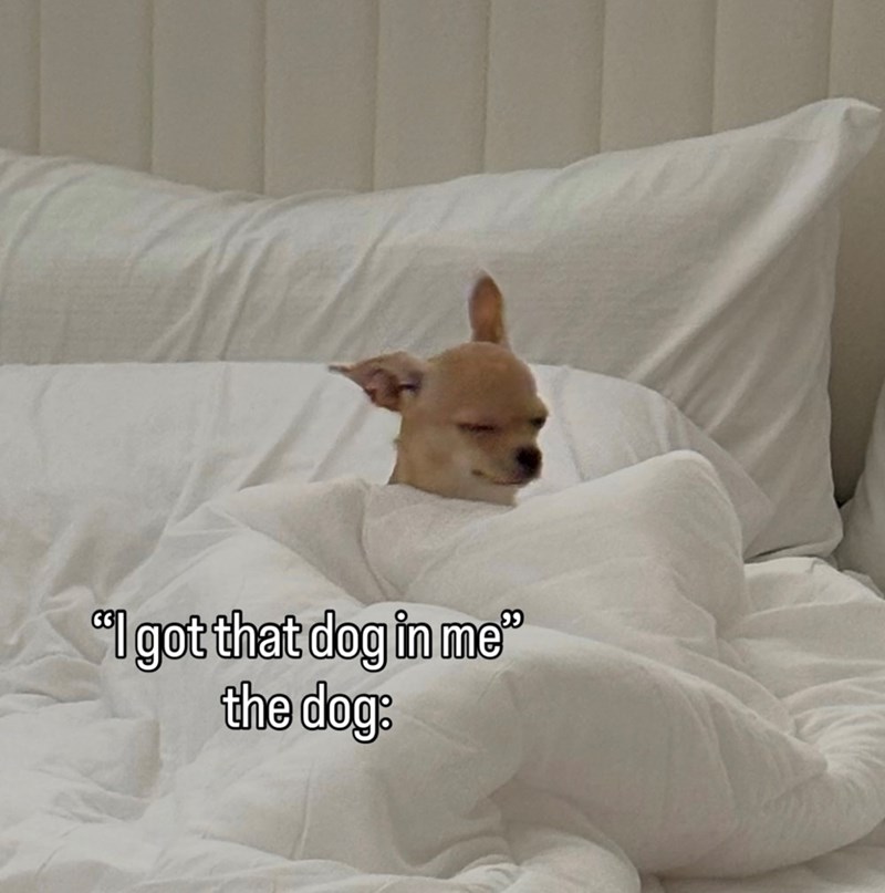 "I got that dog in me" the dog: