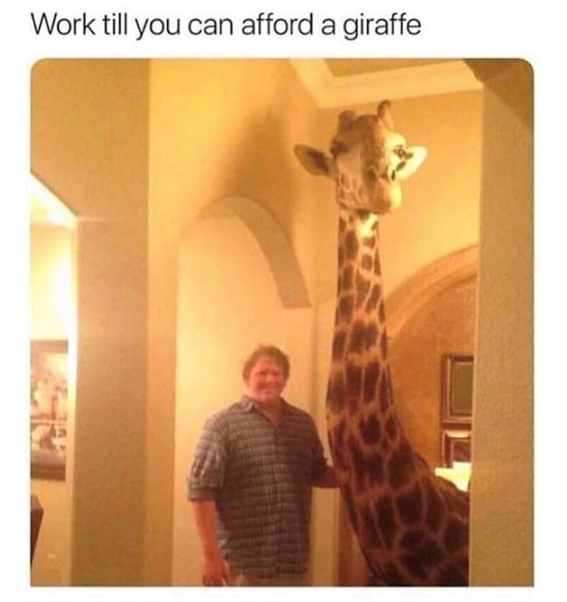 Work till you can afford a giraffe
