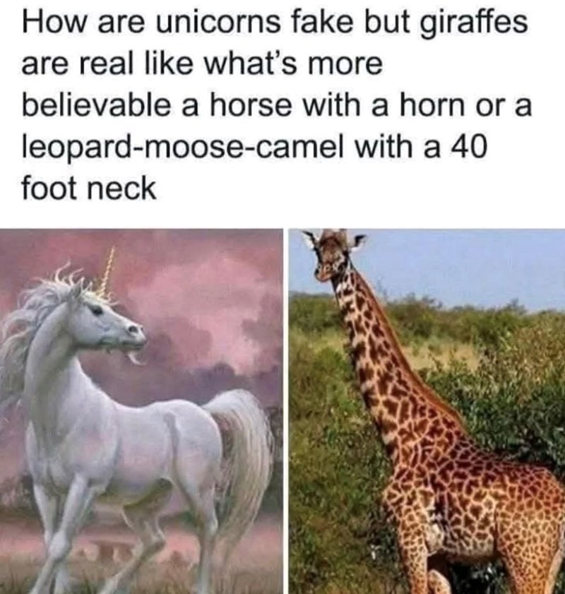 How are unicorns fake but giraffes are real like what's more believable a horse with a horn or a leopard-moose-camel with a 40 foot neck