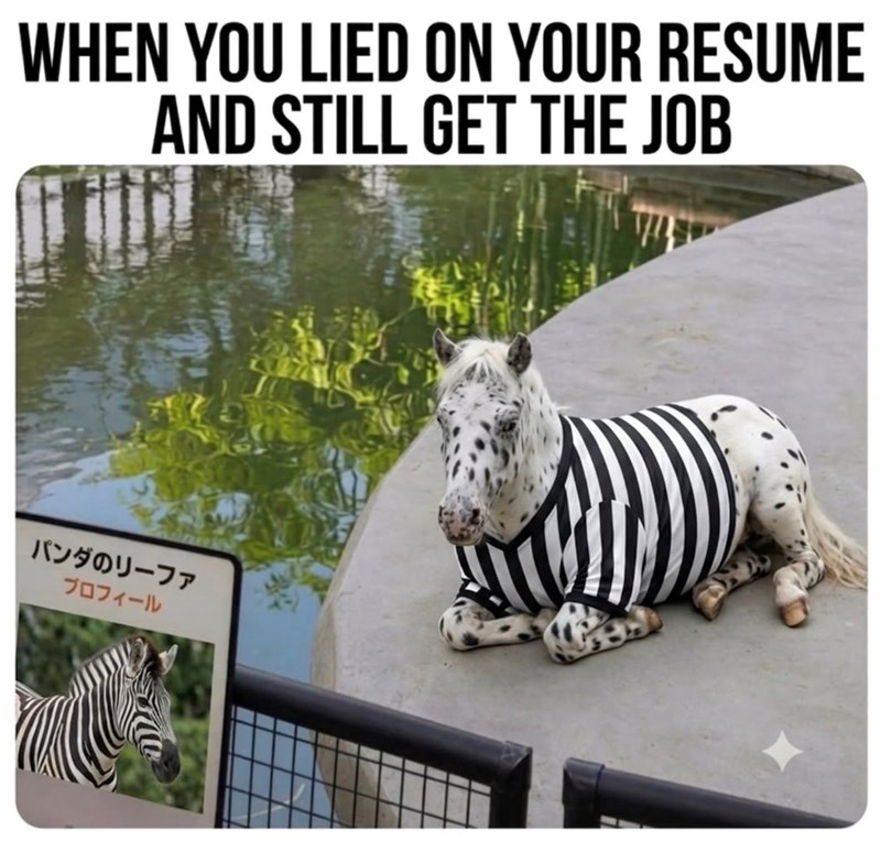 WHEN YOU LIED ON YOUR RESUME AND STILL GET THE JOB パンダのリーファ ブロフィール
