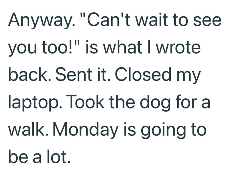 Anyway. "Can't wait to see you too!" is what I wrote back. Sent it. Closed my laptop. Took the dog for a walk. Monday is going to be a lot.