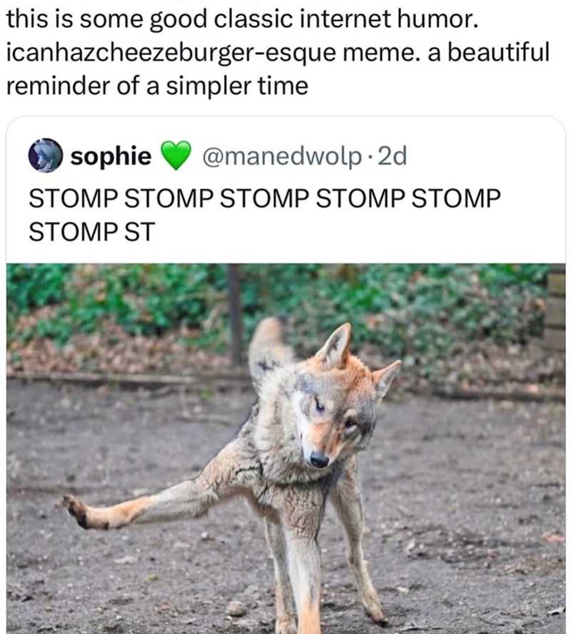 this is some good classic internet humor. icanhazcheezeburger-esque meme. a beautiful reminder of a simpler time sophie @manedwolp.2d STOMP STOMP STOMP STOMP STOMP STOMP ST