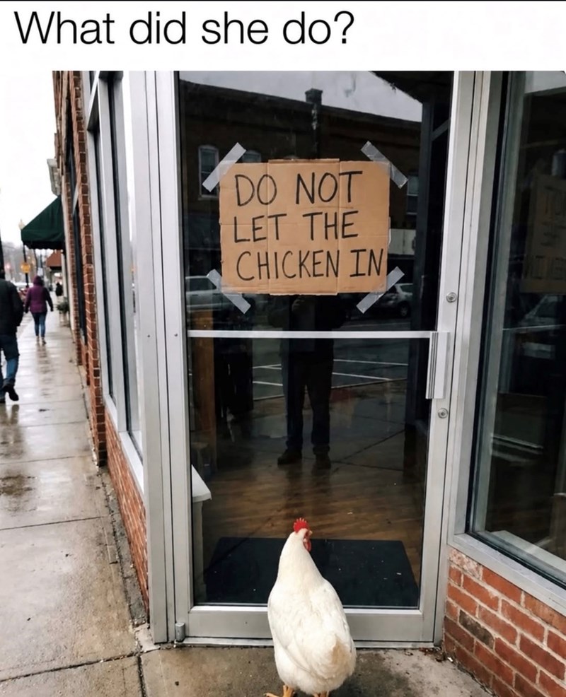 What did she do? DO NOT LET THE CHICKEN IN