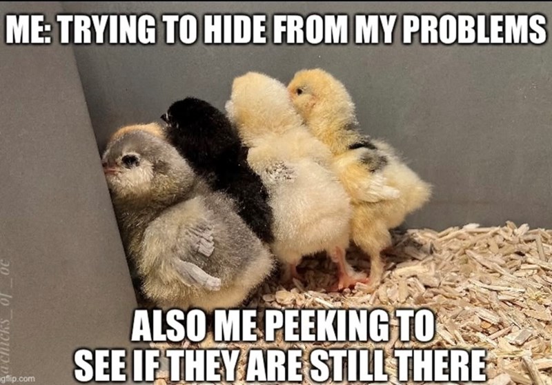 ME: TRYING TO HIDE FROM MY PROBLEMS gflip.com ALSO ME PEEKING TO SEE IF THEY ARE STILL THERE